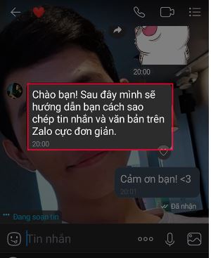 Cách copy tin nhắn trên Zalo nhanh chóng và dễ dàng 1