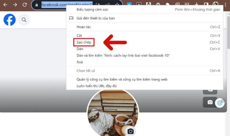 Hướng dẫn sao chép đường link bài viết, trang cá nhân trên Facebook